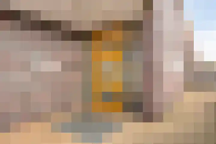 De Schakel 49 Best thumbnail 9