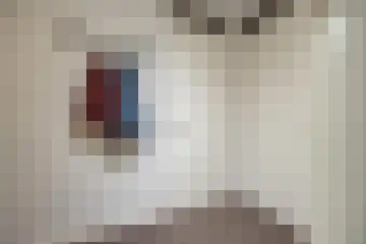 De Schakel 60 Best thumbnail 10