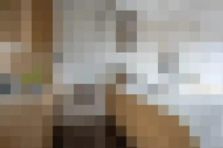 De Schakel 60 Best thumbnail 15