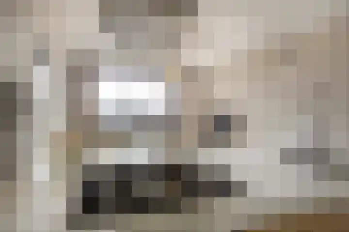 De Schakel 60 Best thumbnail 16