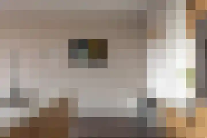 De Schakel 60 Best thumbnail 17
