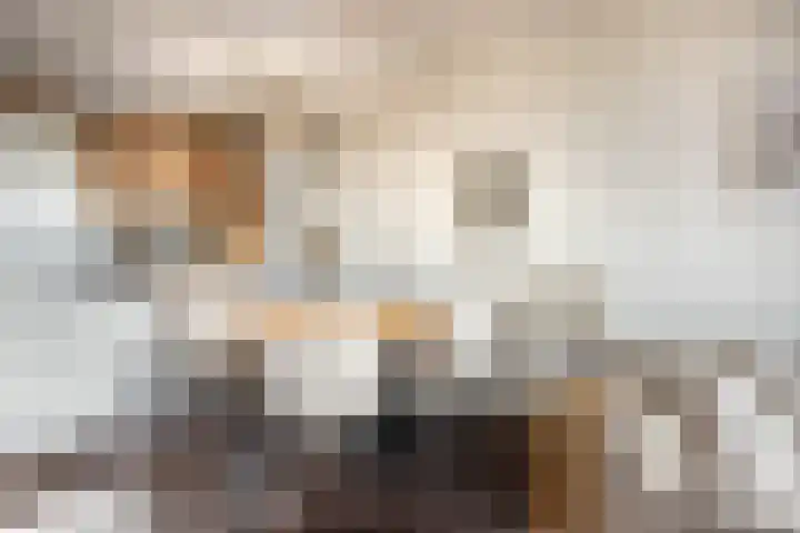 De Schakel 60 Best thumbnail 19