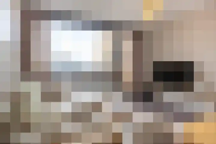 De Schakel 60 Best thumbnail 20