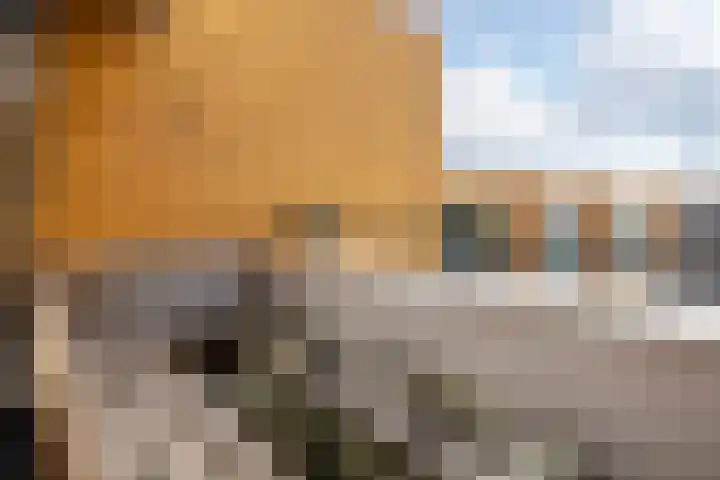 De Schakel 60 Best thumbnail 21