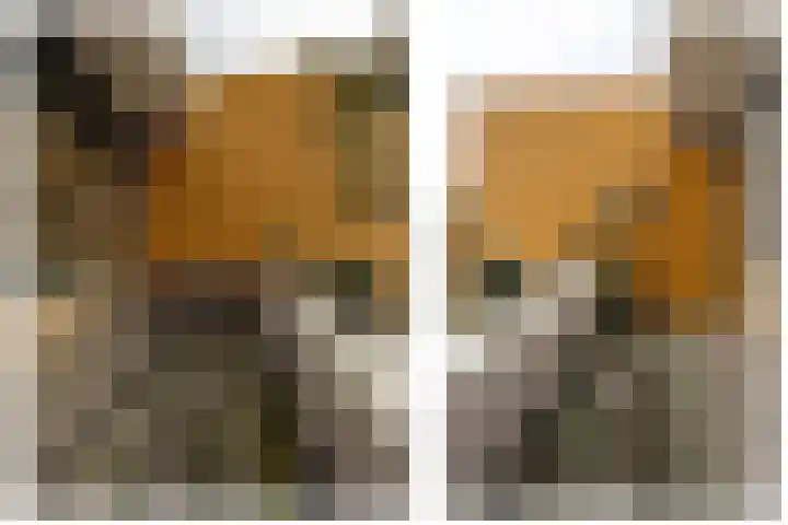 De Schakel 60 Best thumbnail 22