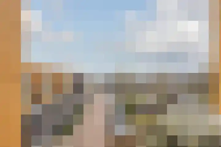 De Schakel 60 Best thumbnail 23