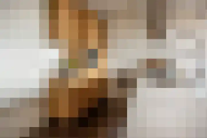 De Schakel 60 Best thumbnail 24