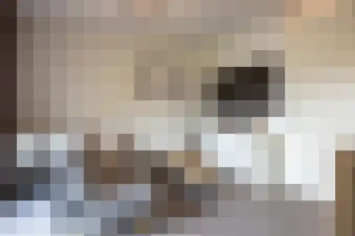 De Schakel 60 Best thumbnail 27