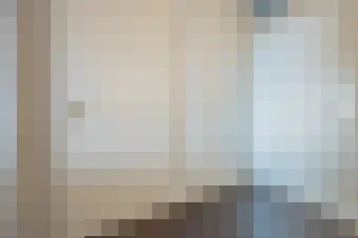 De Schakel 60 Best thumbnail 29