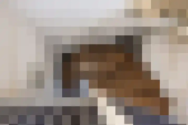 De Schakel 60 Best thumbnail 31
