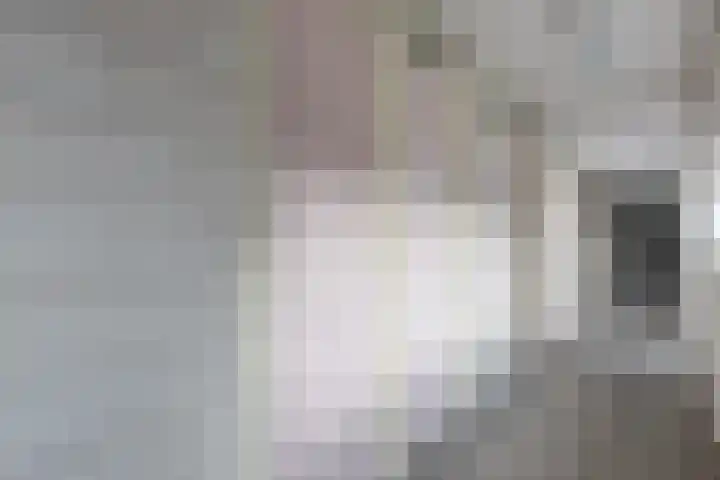 De Schakel 60 Best thumbnail 33
