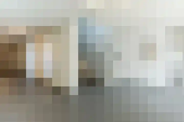 De Schakel 60 Best thumbnail 35