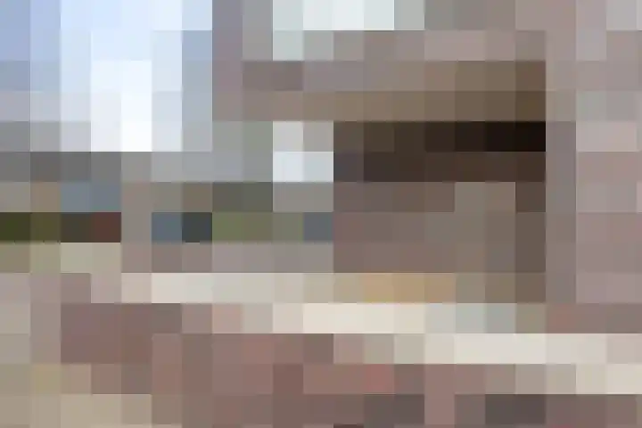 De Schakel 60 Best thumbnail 36