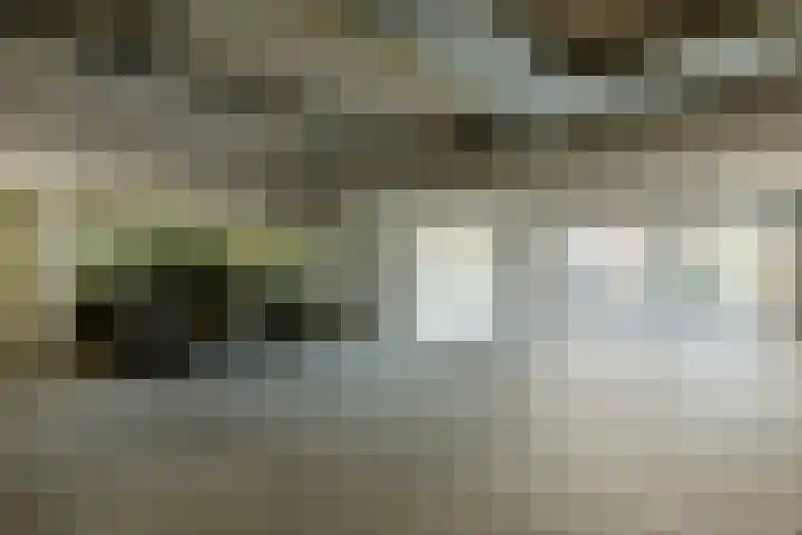 De Schakel 60 Best thumbnail 37