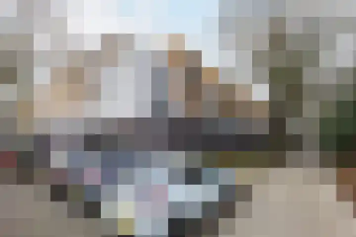 De Schakel 60 Best thumbnail 38