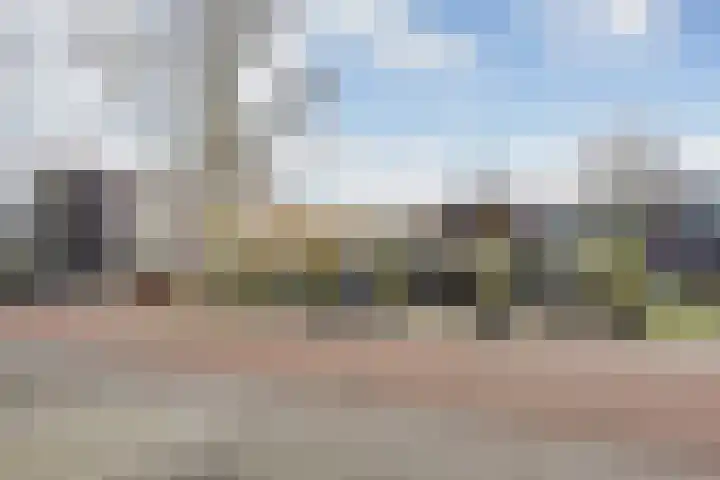 De Schakel 60 Best thumbnail 39