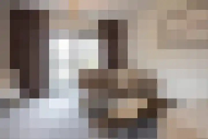 De Schakel 60 Best thumbnail 4