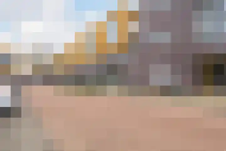 De Schakel 60 Best thumbnail 40