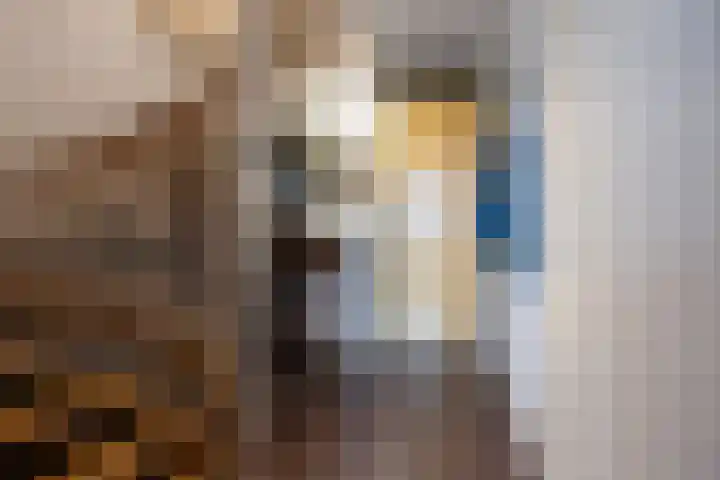 De Schakel 60 Best thumbnail 5