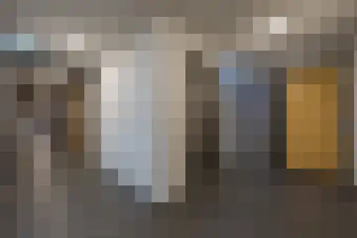De Schakel 60 Best thumbnail 6