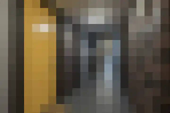 De Schakel 60 Best thumbnail 8