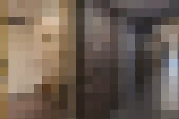 De Schakel 60 Best thumbnail 9