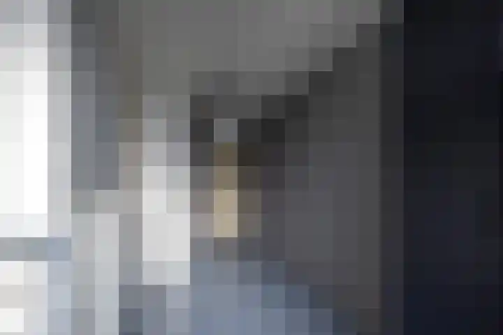 De Schalck 20 Grootegast thumbnail 12