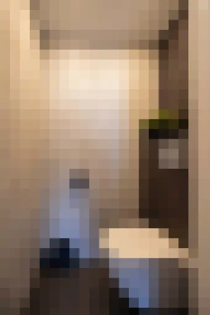 De Schalck 20 Grootegast thumbnail 14