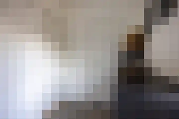 De Schalck 20 Grootegast thumbnail 16