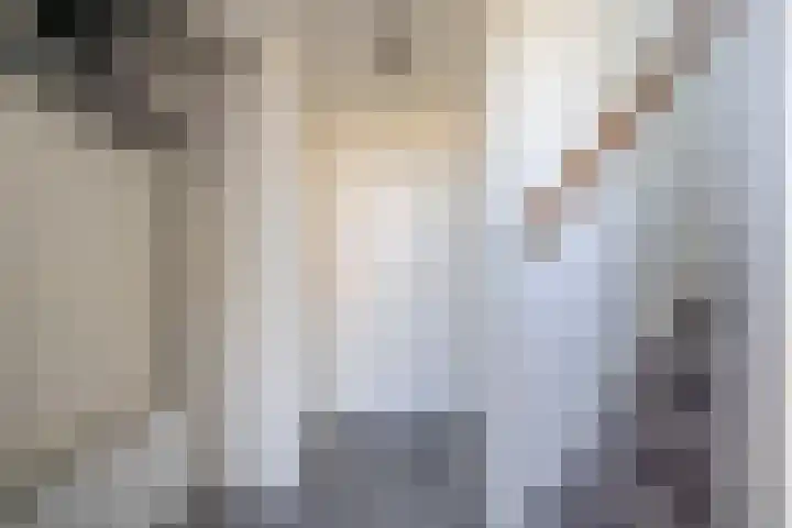 De Schalck 20 Grootegast thumbnail 17
