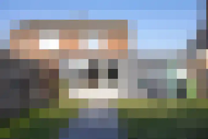 De Schalck 20 Grootegast thumbnail 26