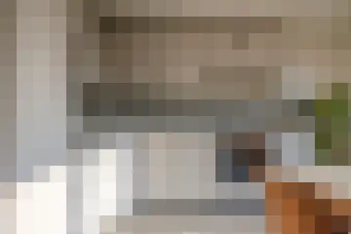 De Schalck 20 Grootegast thumbnail 7