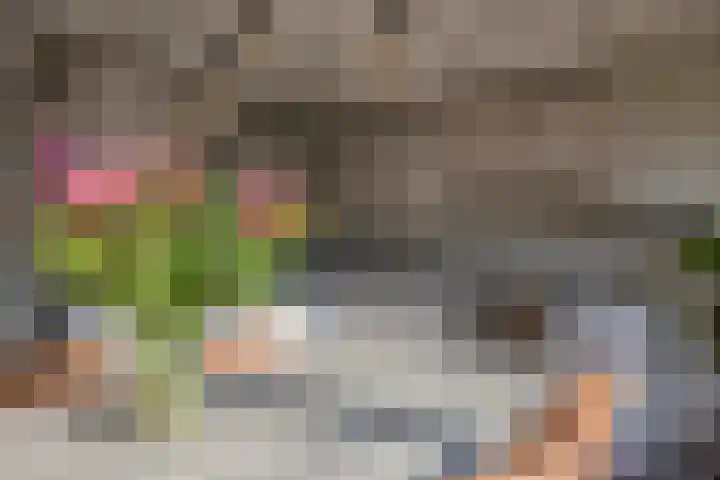 De Schalck 20 Grootegast thumbnail 9