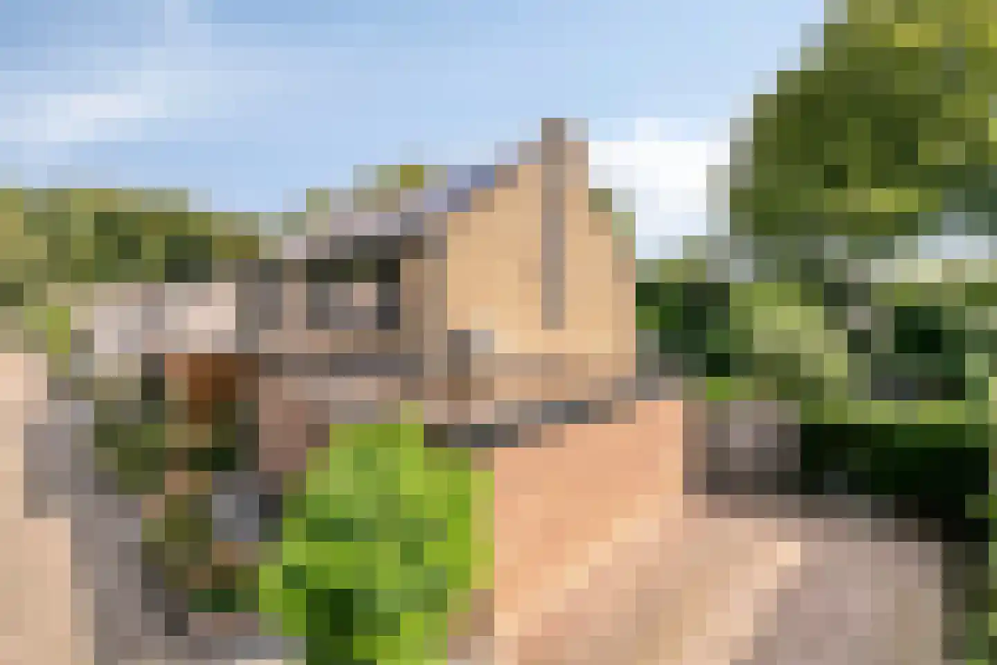 De Schalm 35 Dronten thumbnail 15