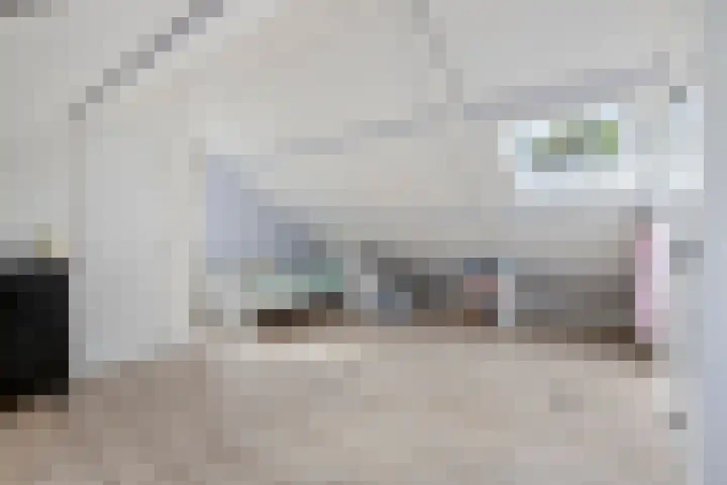De Schalm 35 Dronten thumbnail 38
