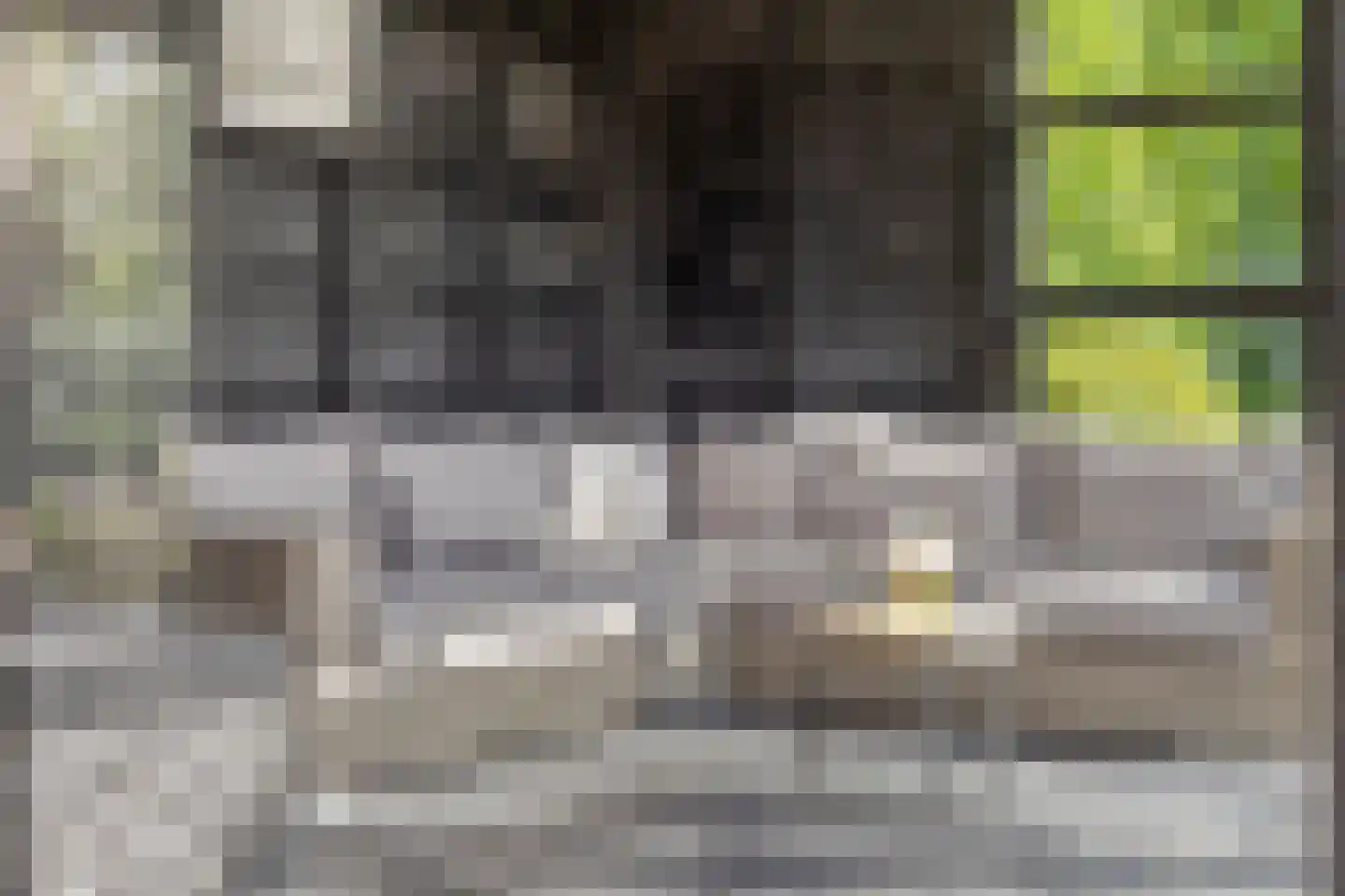 De Schalm 35 Dronten thumbnail 47