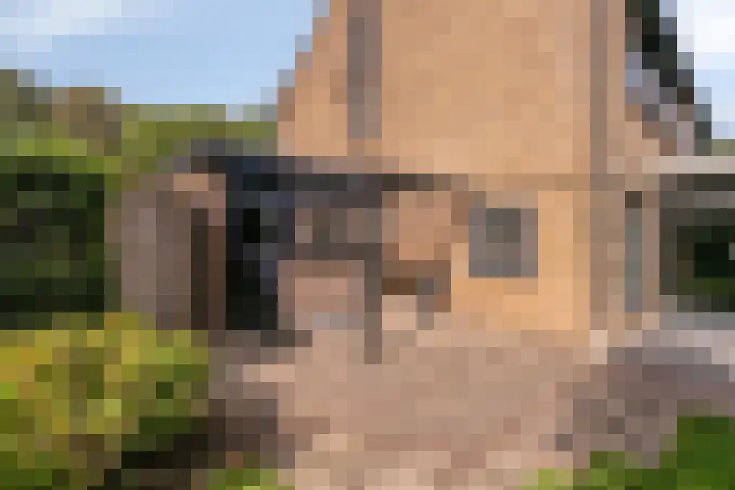 De Schalm 35 Dronten thumbnail 52