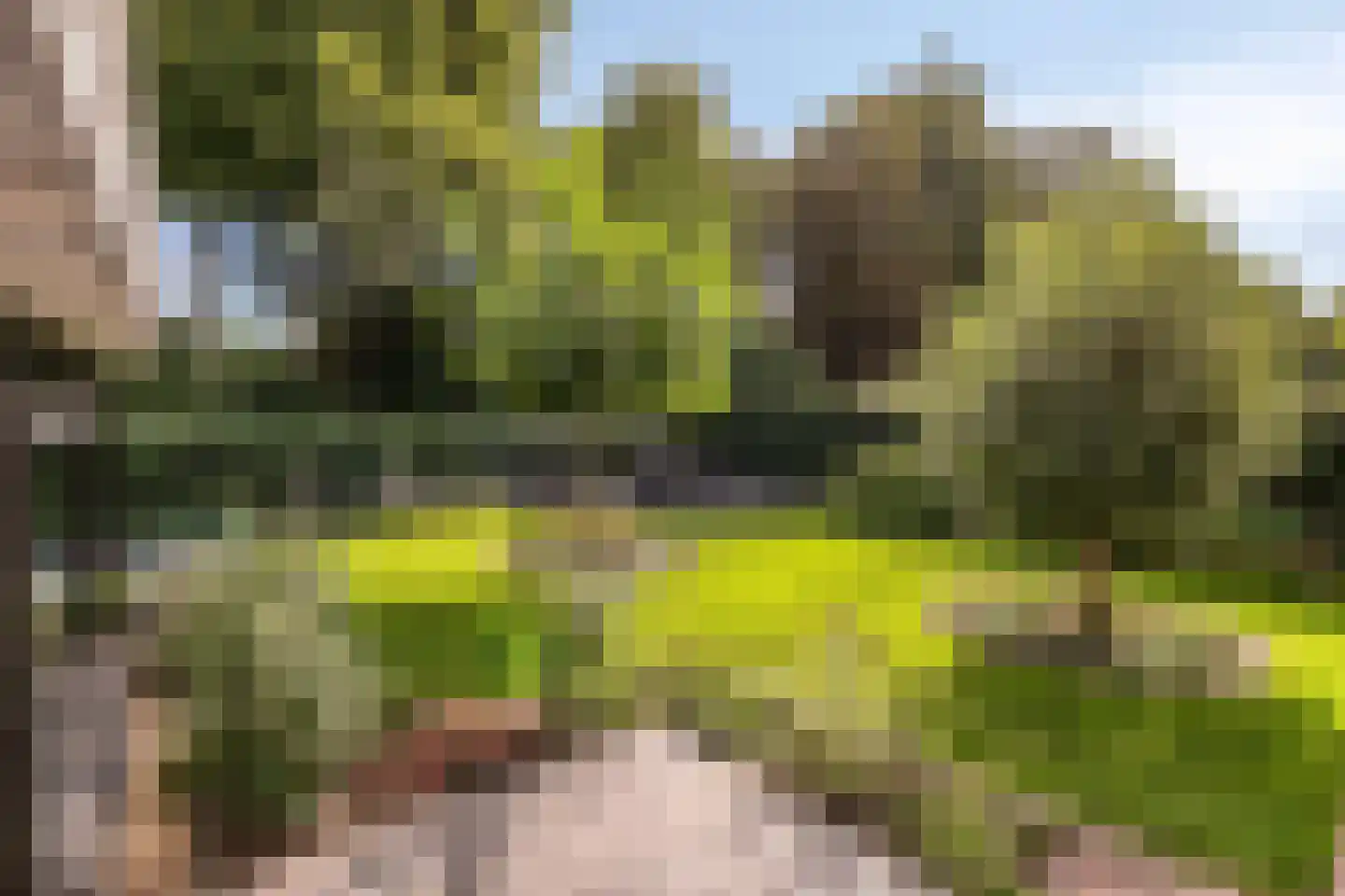 De Schalm 35 Dronten thumbnail 53