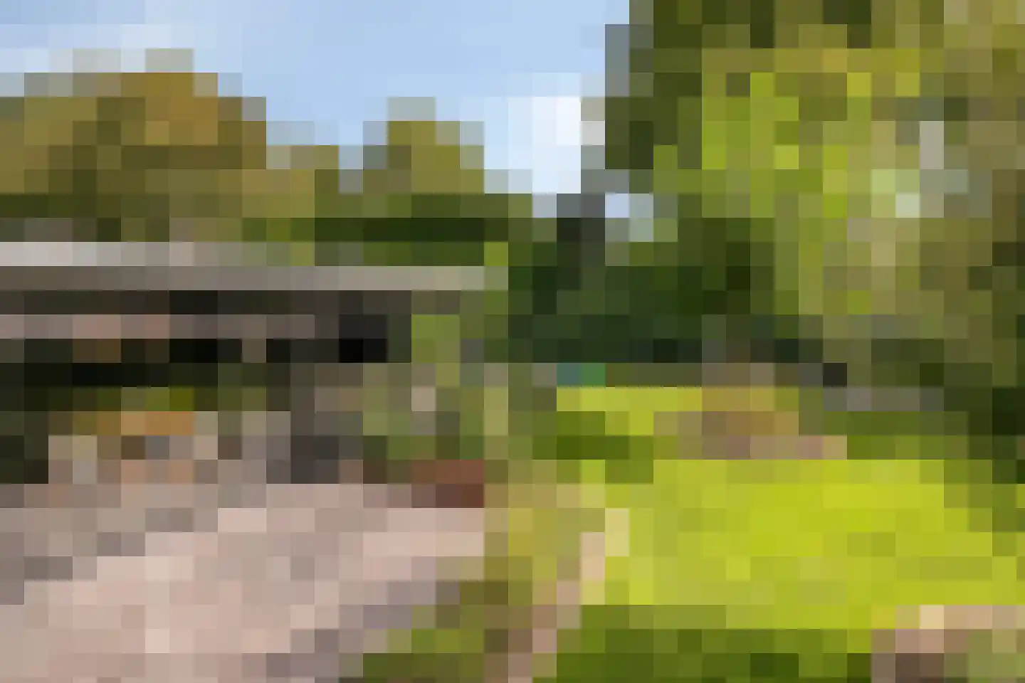 De Schalm 35 Dronten thumbnail 54