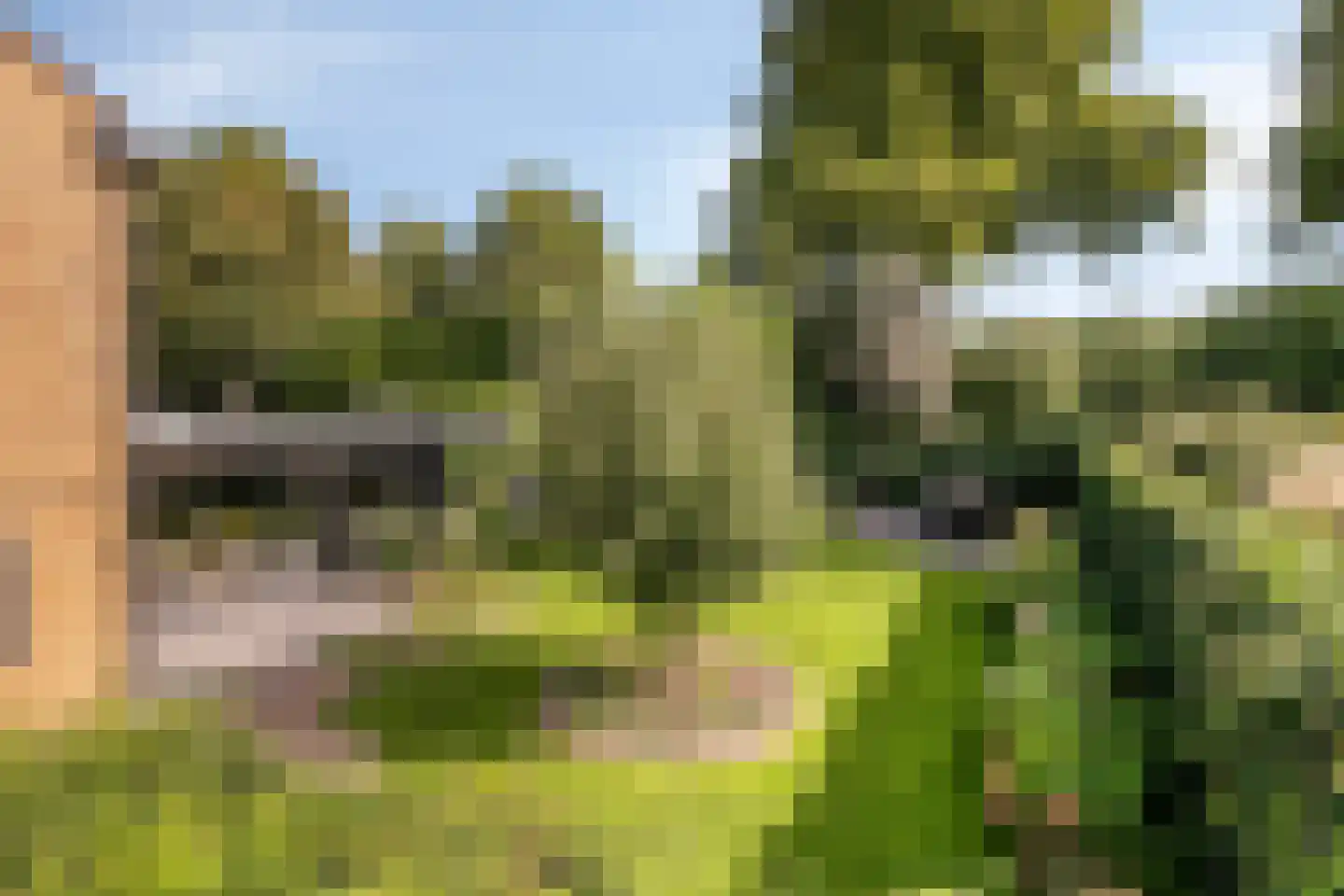 De Schalm 35 Dronten thumbnail 55