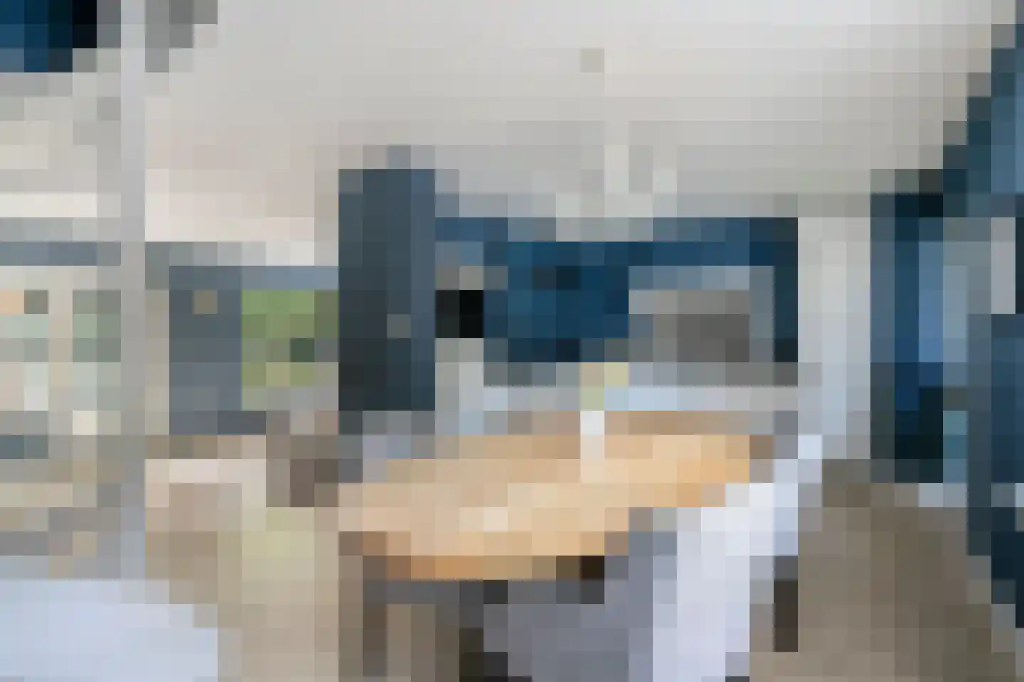 De Schalm 35 Dronten thumbnail 6