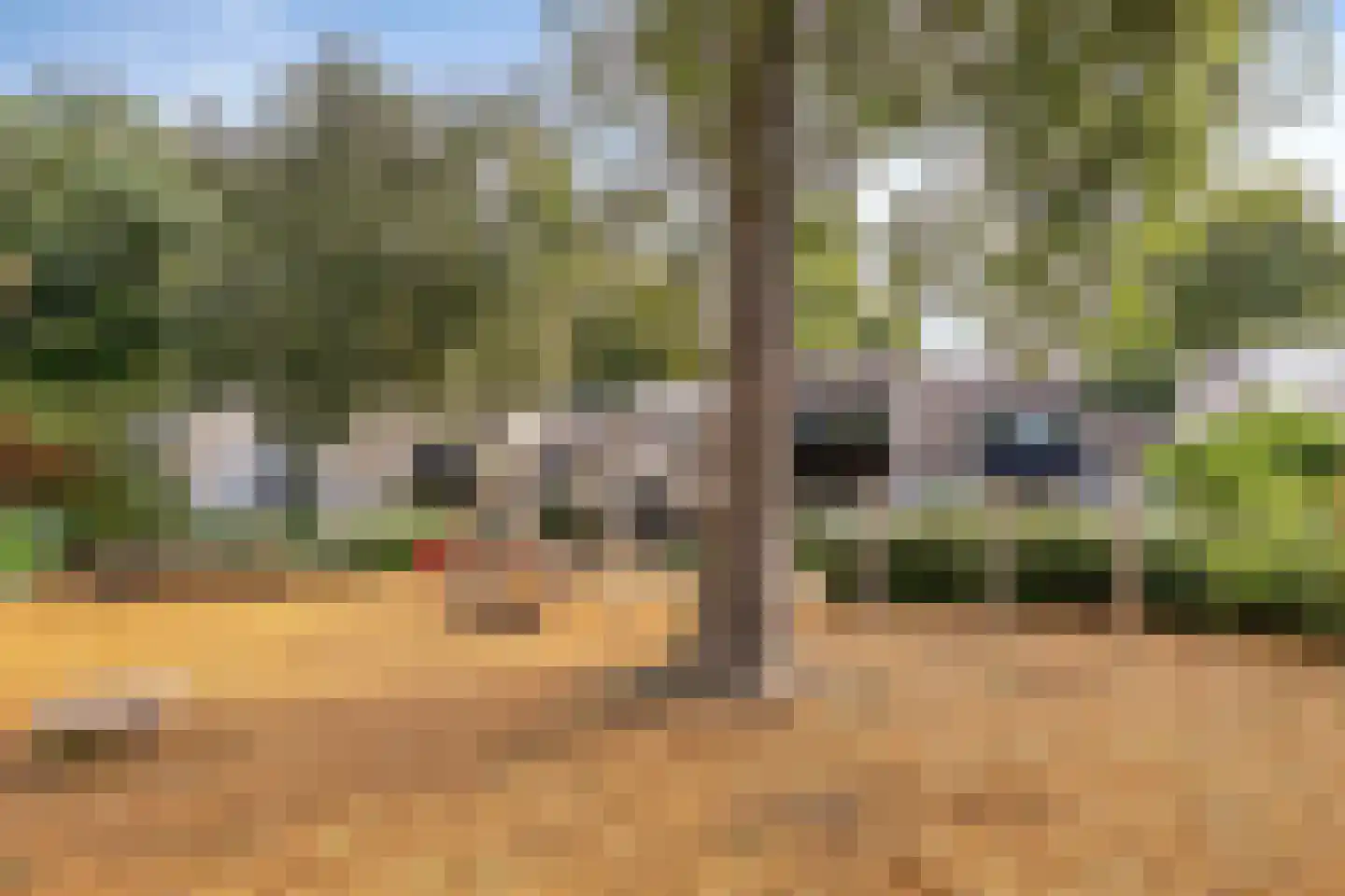 De Schalm 35 Dronten thumbnail 60