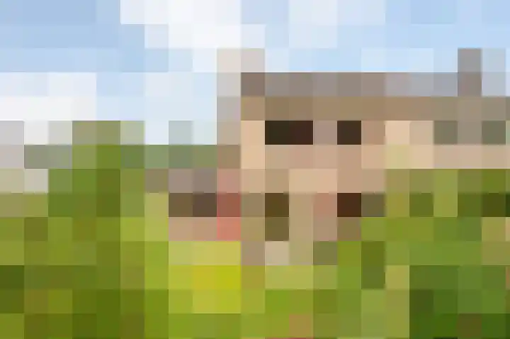 De Schalm 39 Dronten thumbnail 4