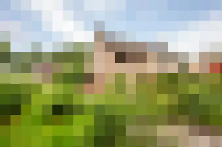De Schalm 39 Dronten thumbnail 45