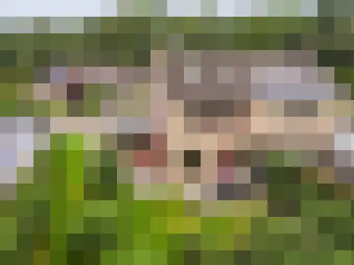 De Schalm 39 Dronten thumbnail 46