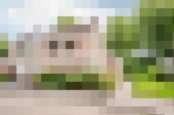 De Schalm 39 Dronten thumbnail 5