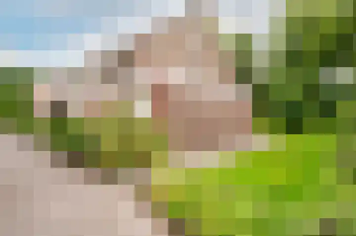 De Schalm 39 Dronten thumbnail 53