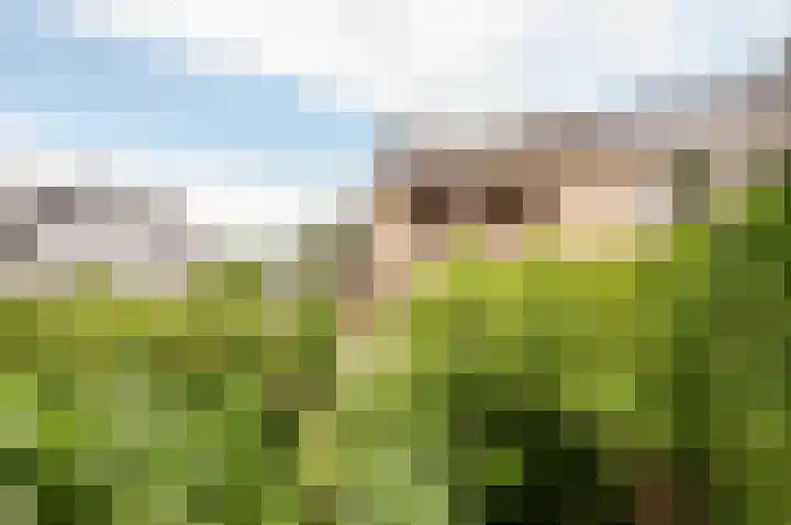 De Schalm 39 Dronten thumbnail 54