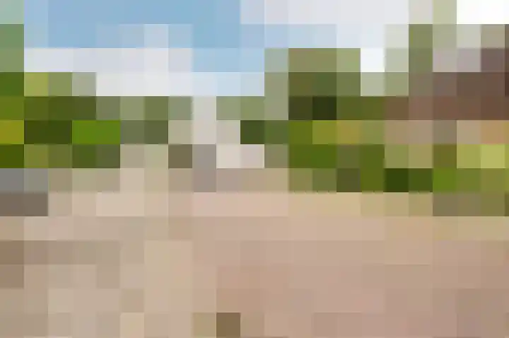 De Schalm 39 Dronten thumbnail 56