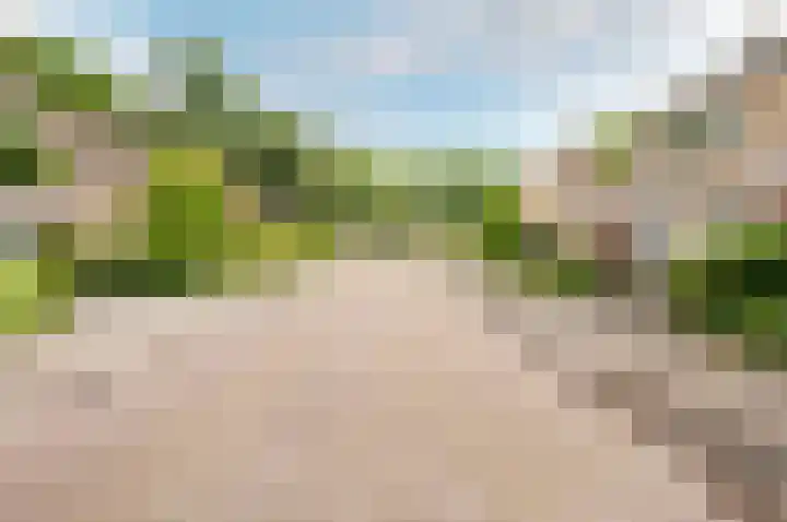 De Schalm 39 Dronten thumbnail 58